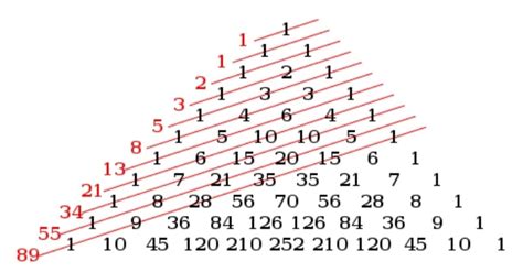 fibonacci sayıları nedir kısaca